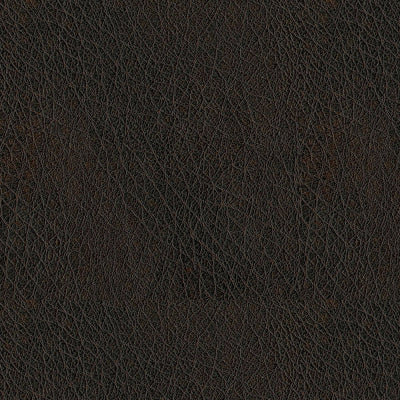 Abilene - Image 3
