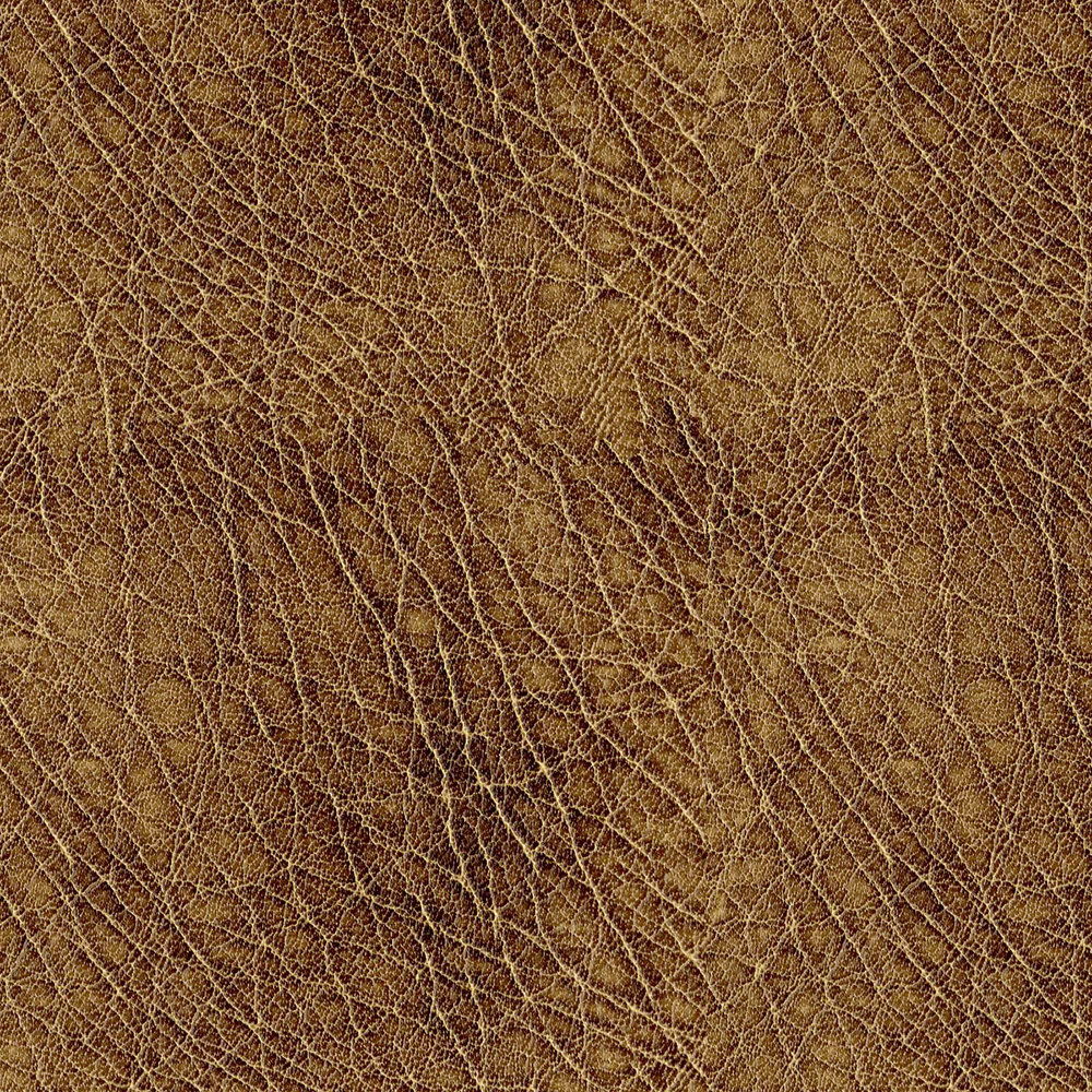 Abilene - Image 7
