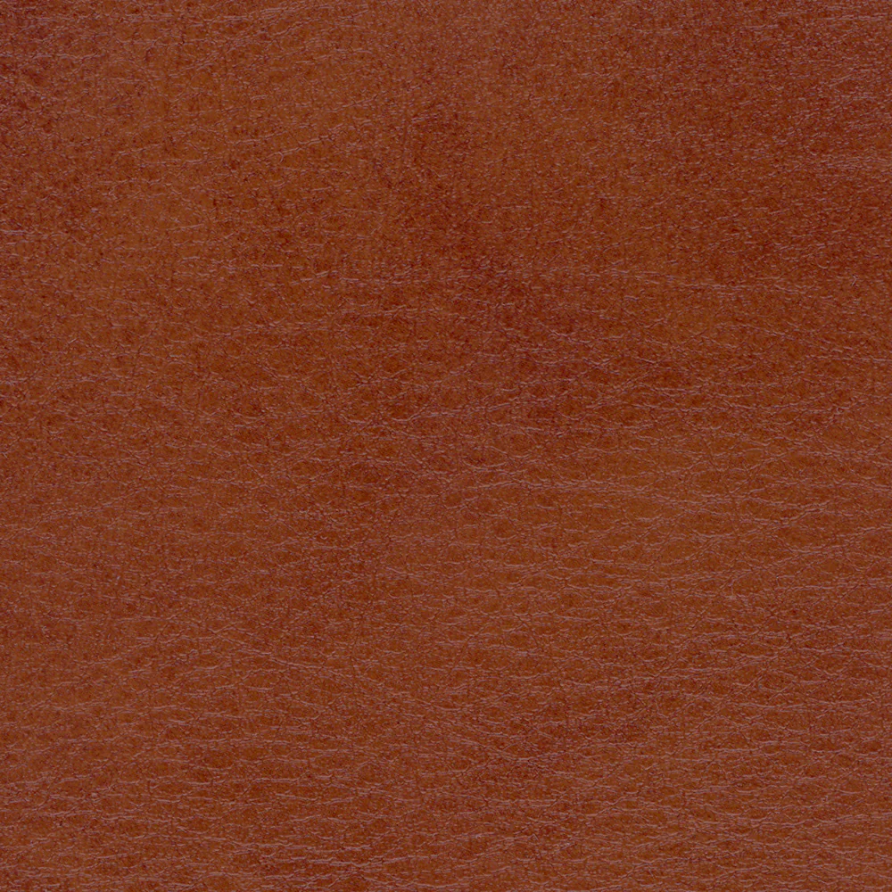 Allegro - Image 21