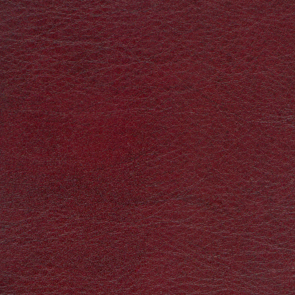 Allegro - Image 5