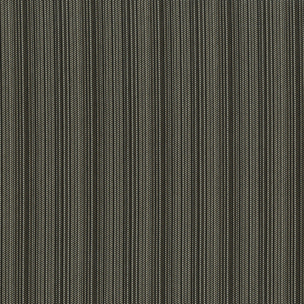 Angelica - Image 7