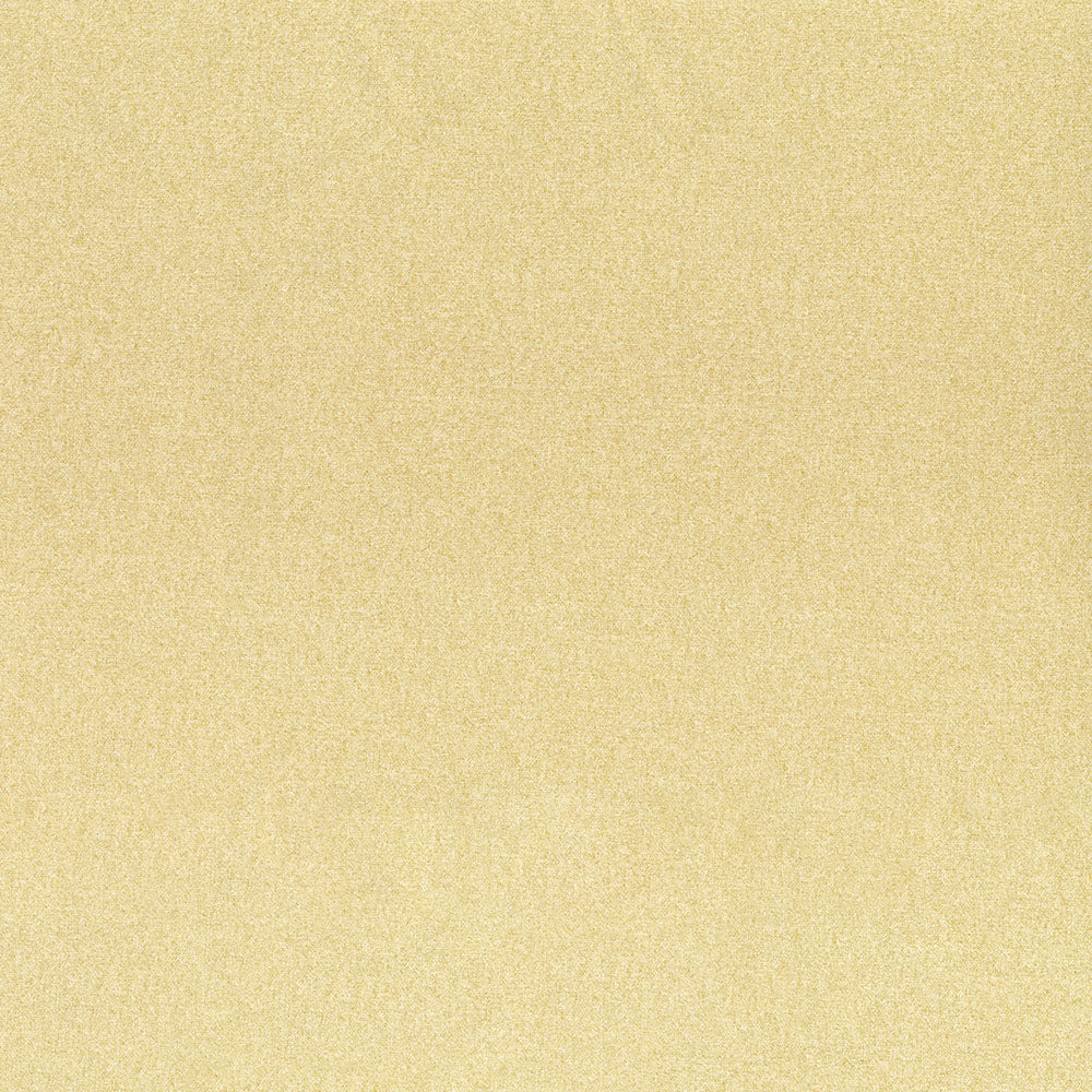 ANGORA - Image 11