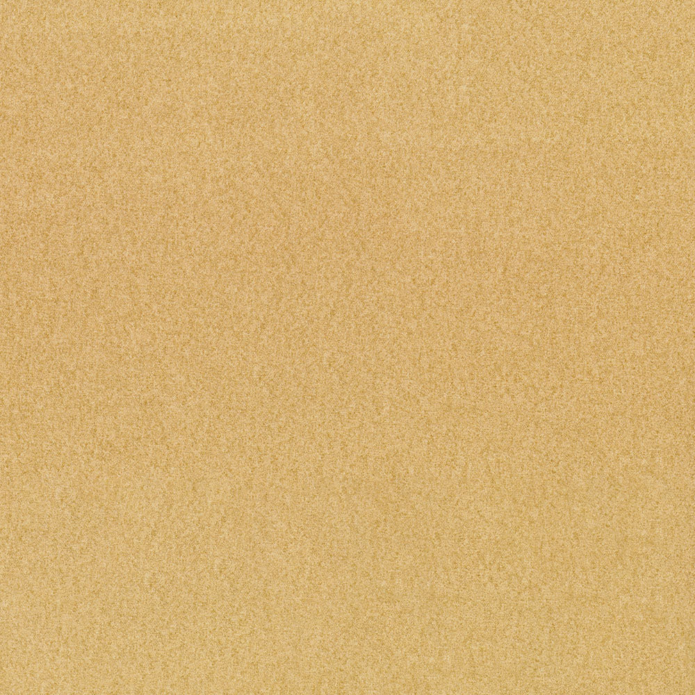 ANGORA - Image 17