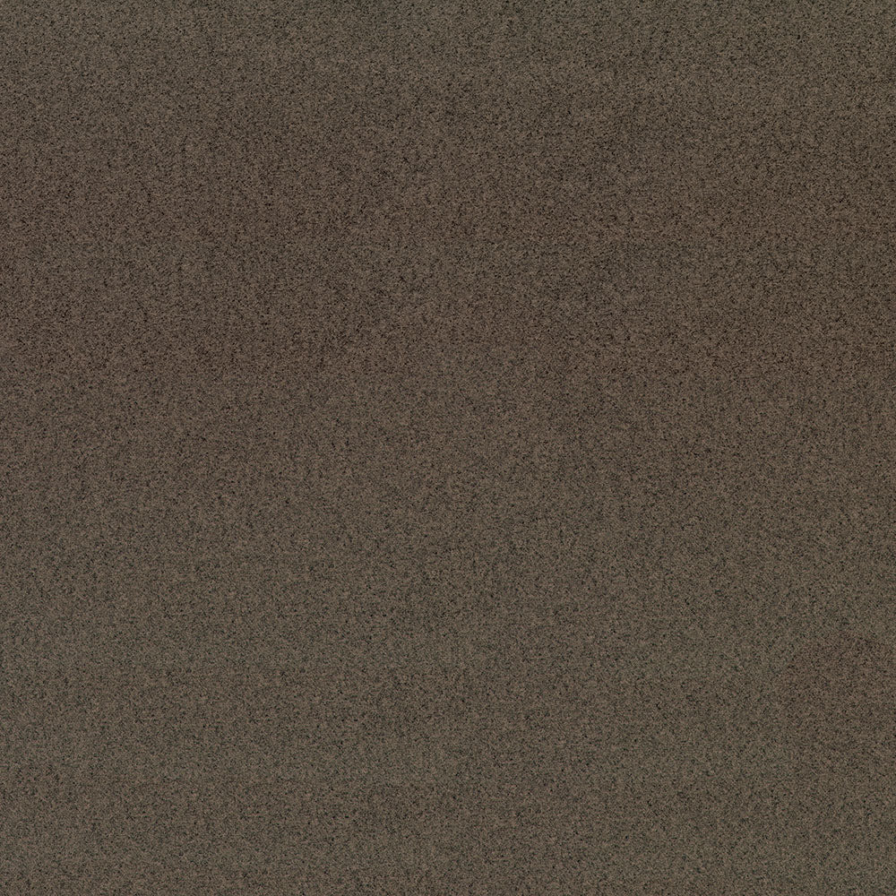 ANGORA - Image 7