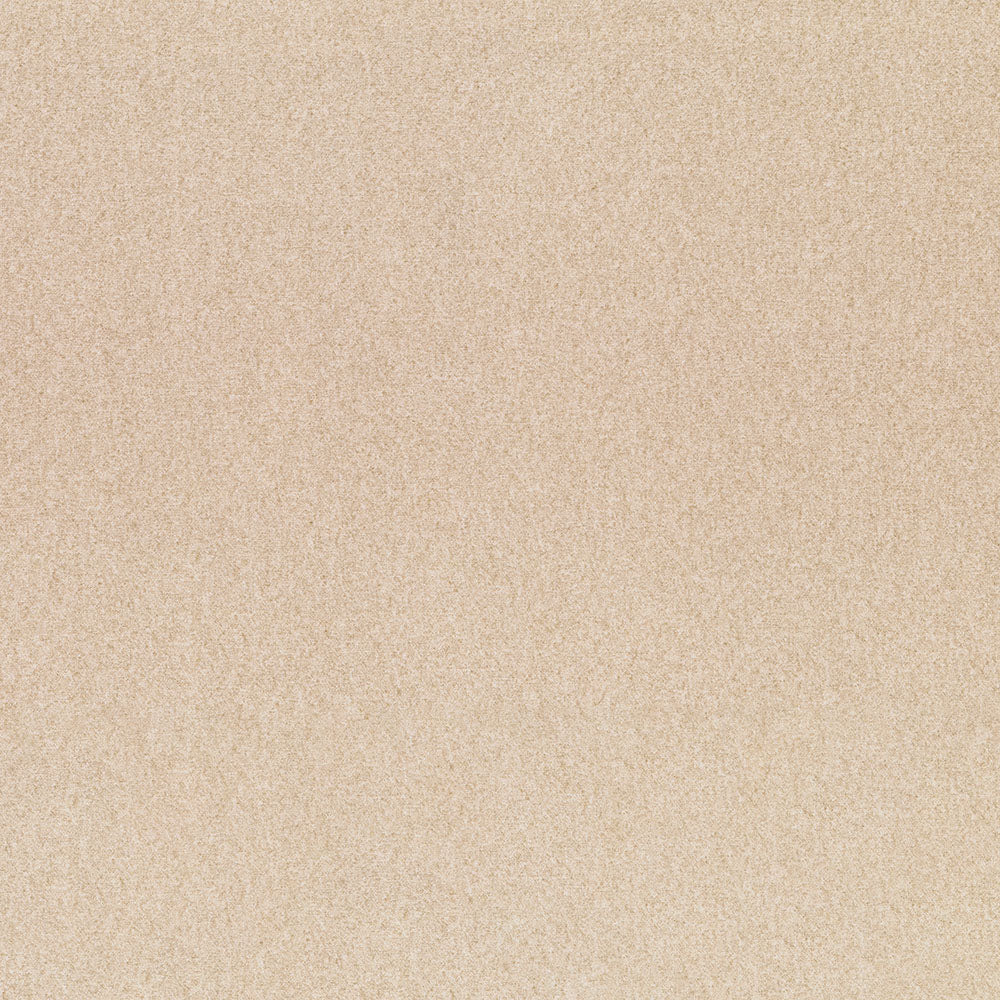 ANGORA - Image 9