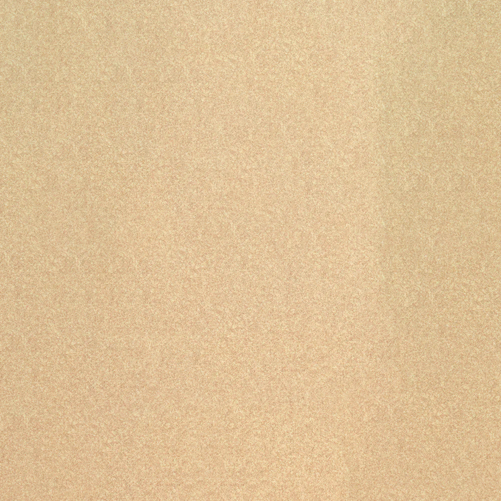 Arlo - Image 15