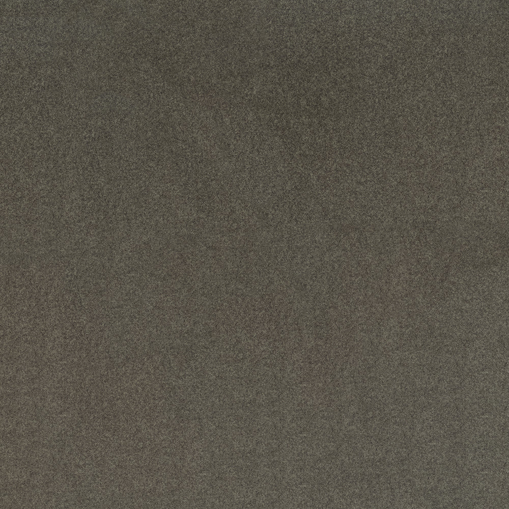 Arlo - Image 19