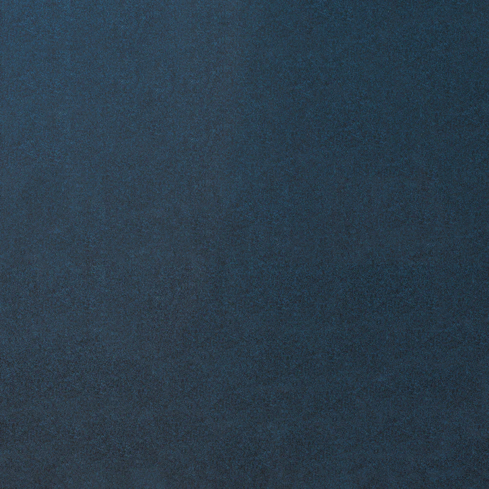 Arlo - Image 3