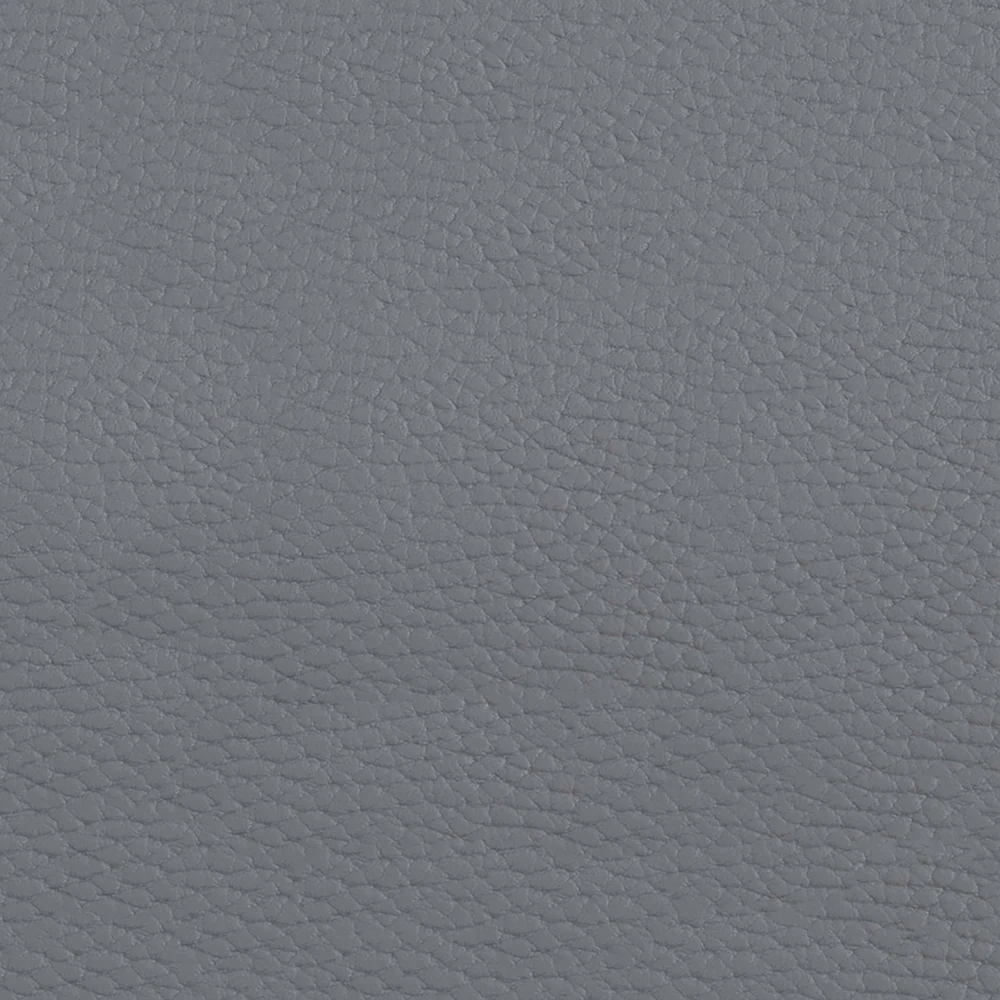 Beluga - Image 11