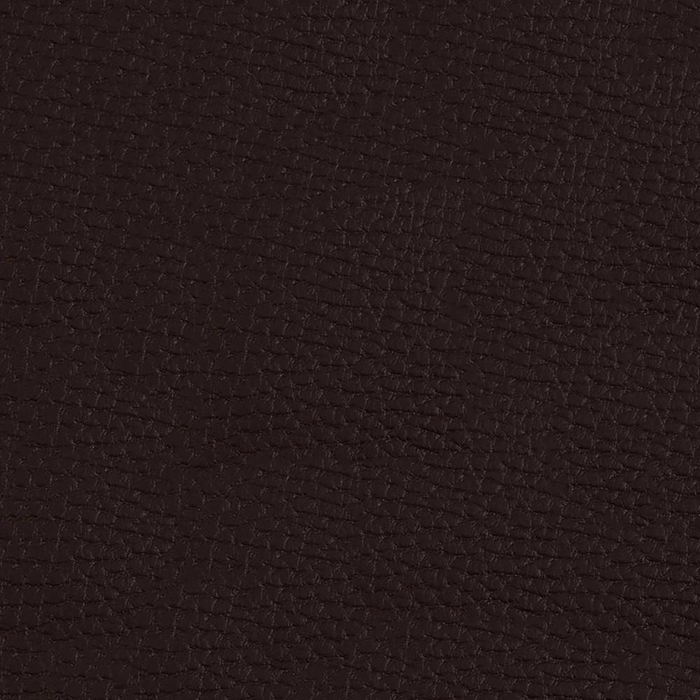 Beluga - Image 23