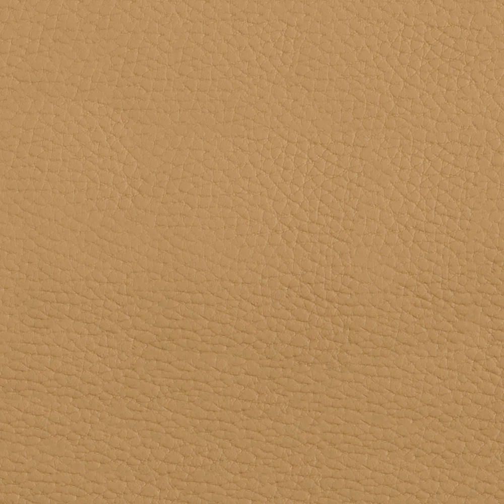 Beluga - Image 25