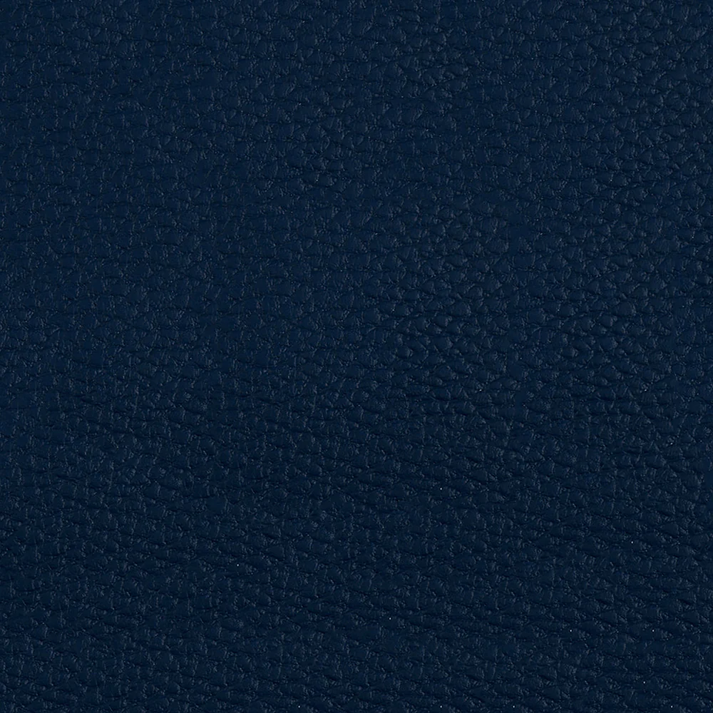 Beluga - Image 5