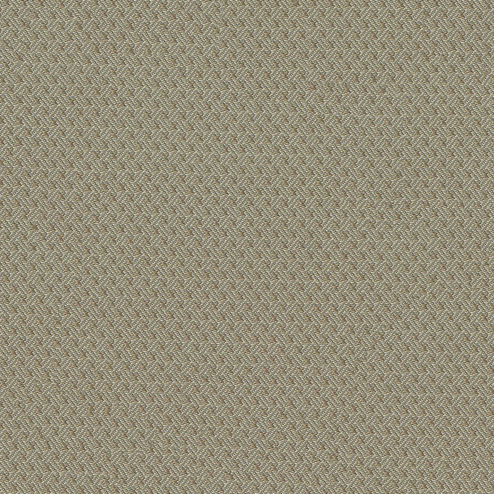Brio - Image 7