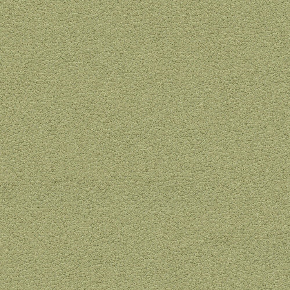 Brisa - Image 7
