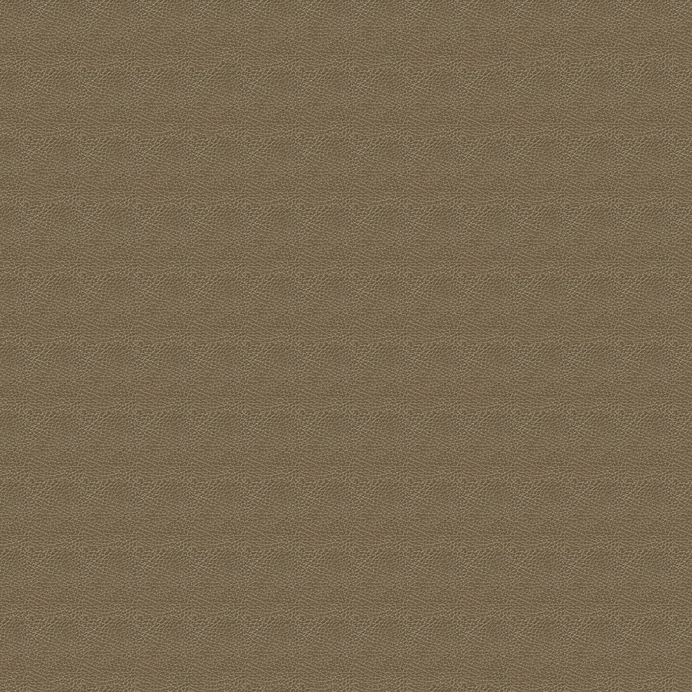 Brisa Distressed - Image 7