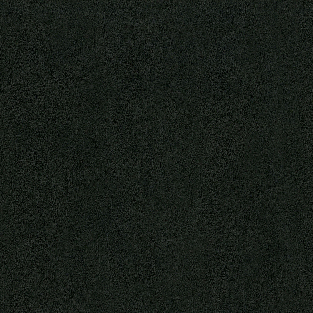Challenger - Image 10
