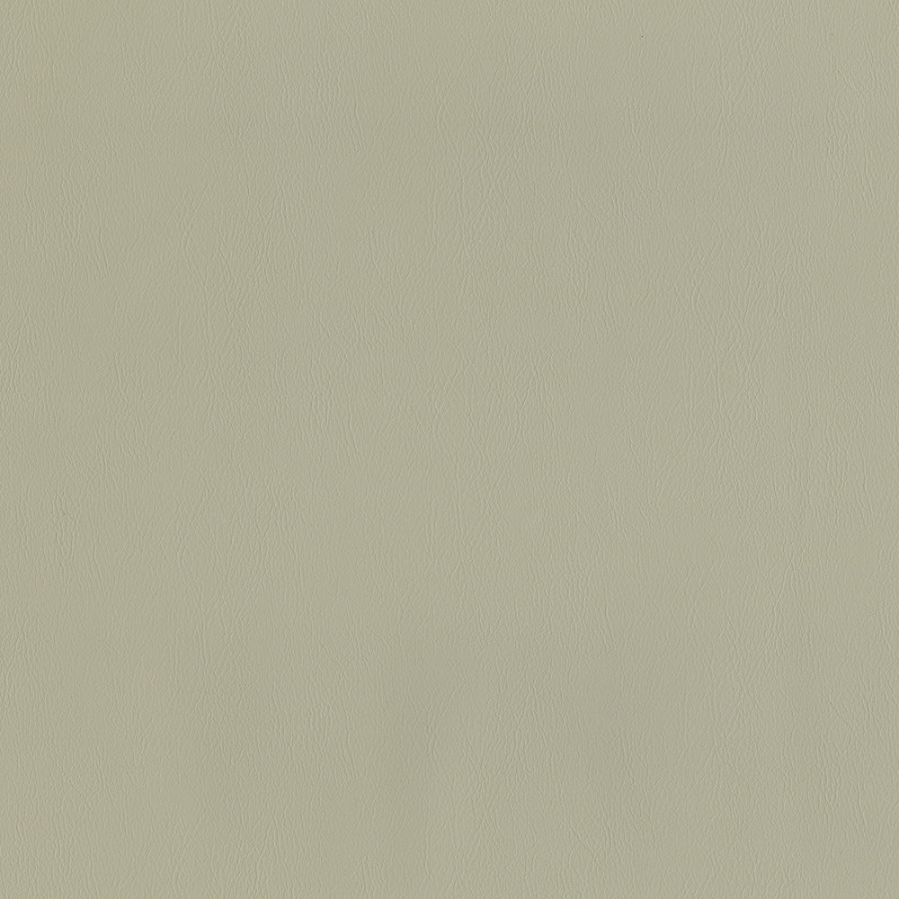 Challenger - Image 19