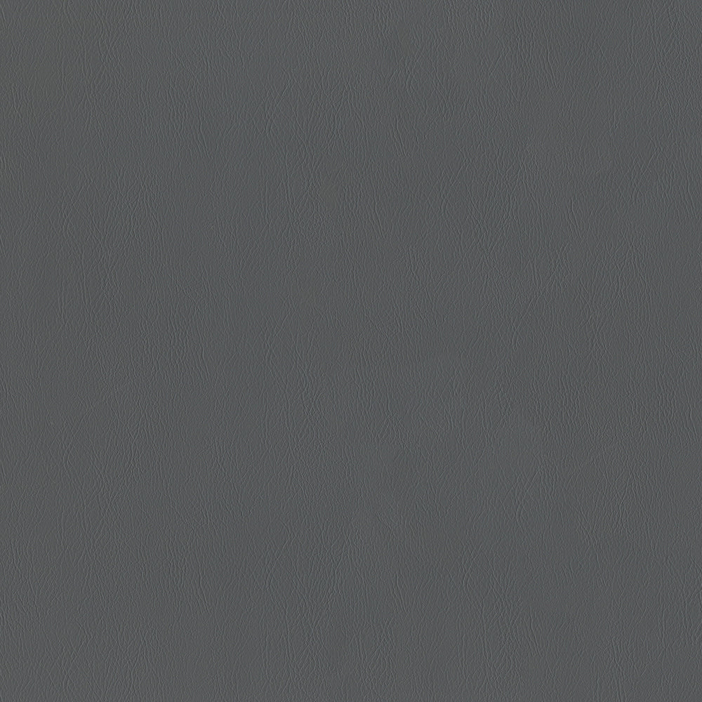 Challenger - Image 4