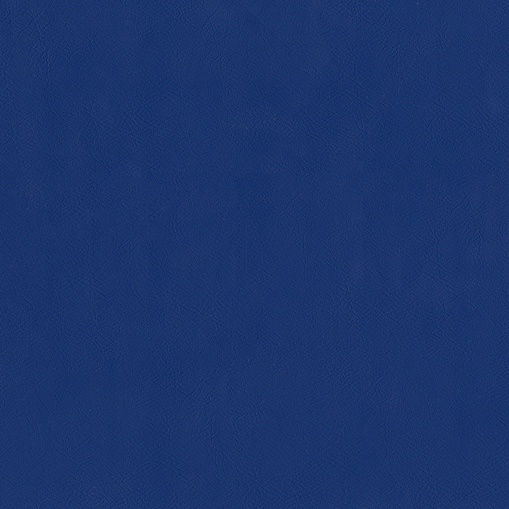 Challenger - Image 79