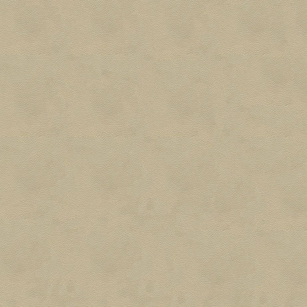 Character - Image 7