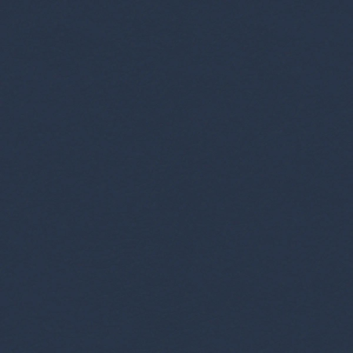 Concept Pro - Image 13