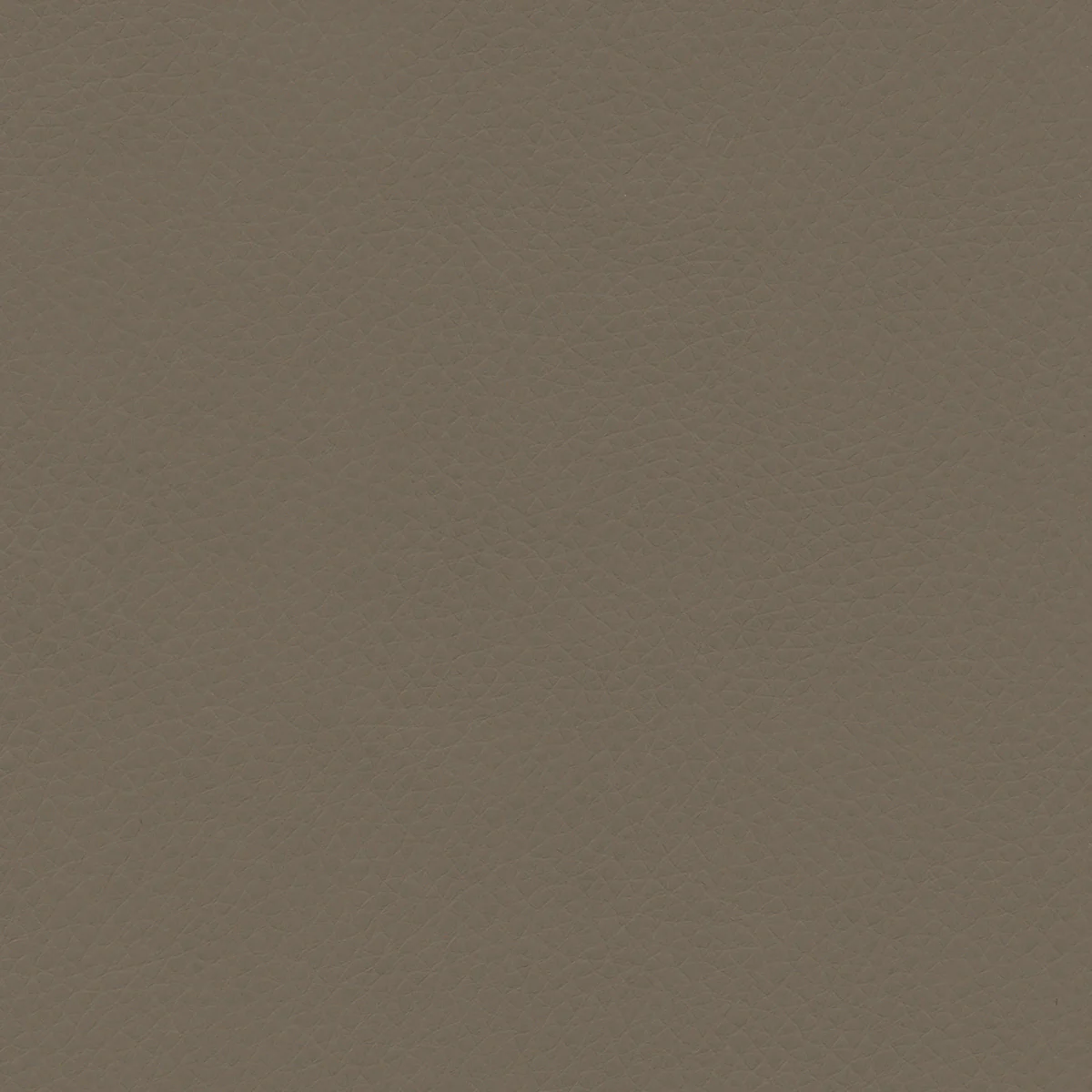 Concept Pro - Image 17