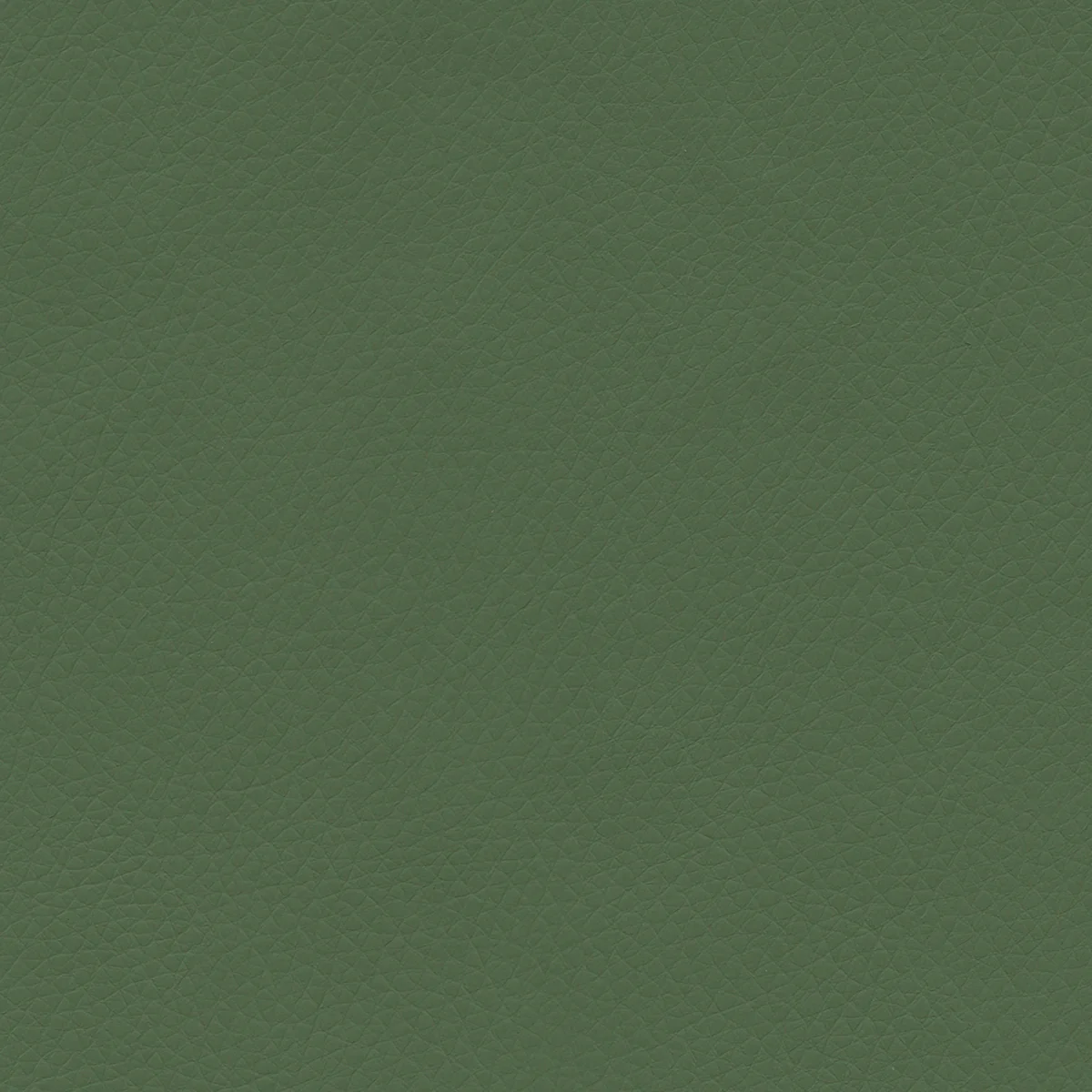 Concept Pro - Image 25