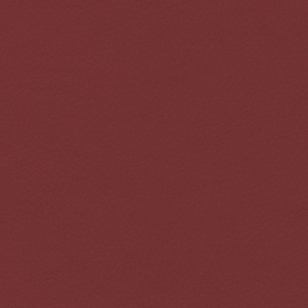 Concept Pro - Image 3