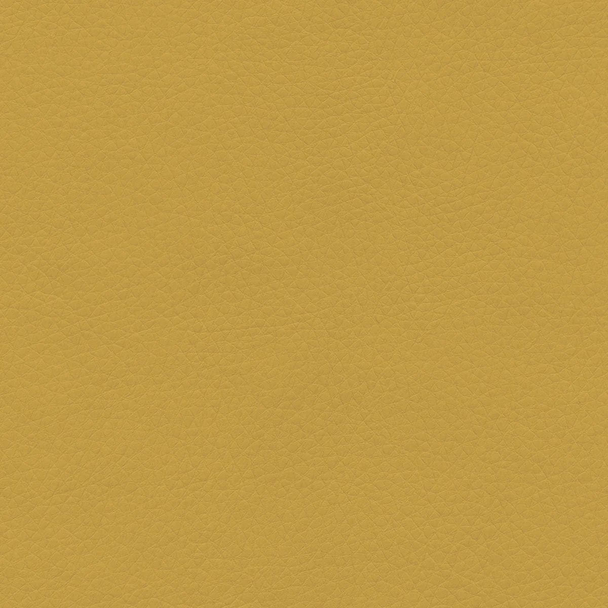 Concept Pro - Image 33