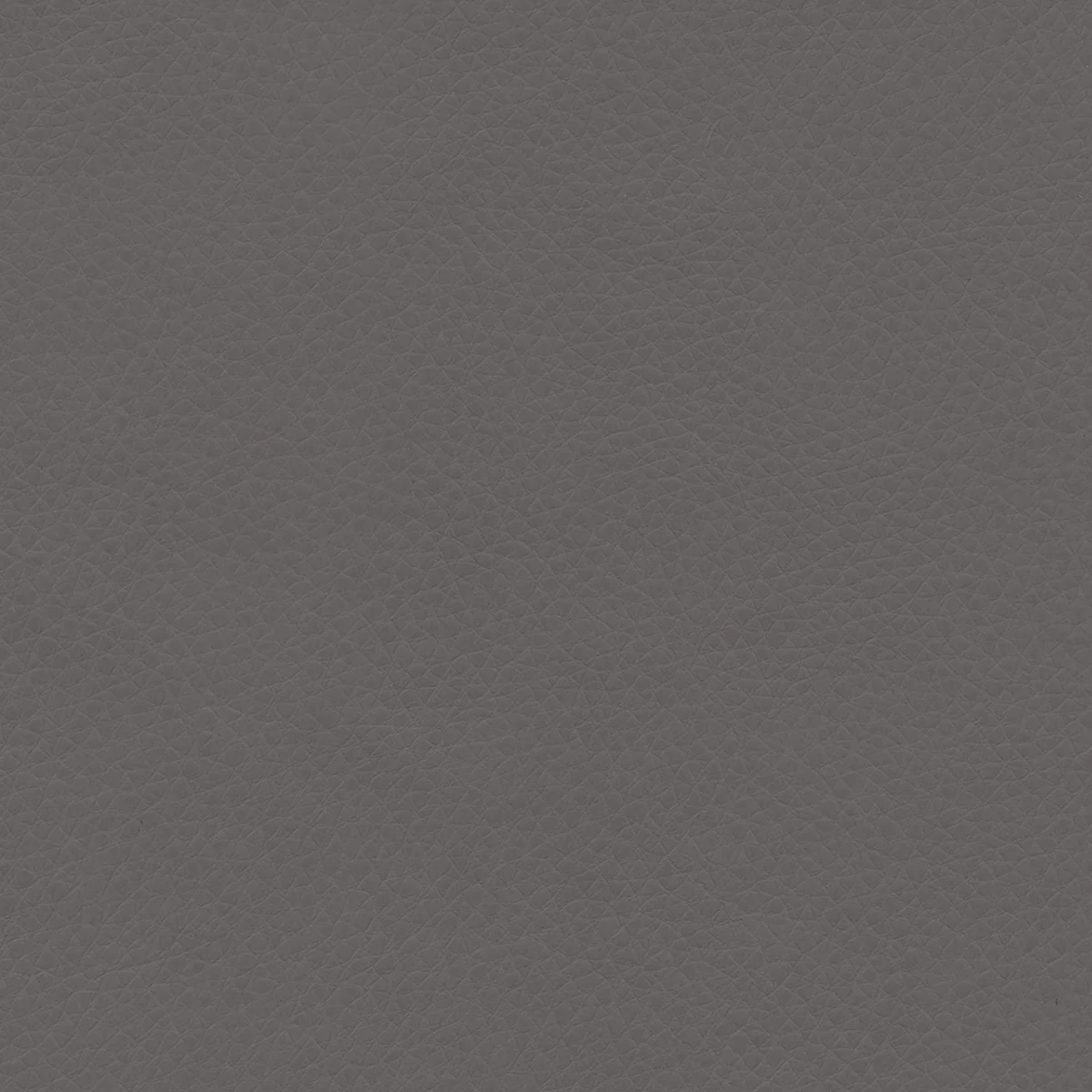 Concept Pro - Image 35