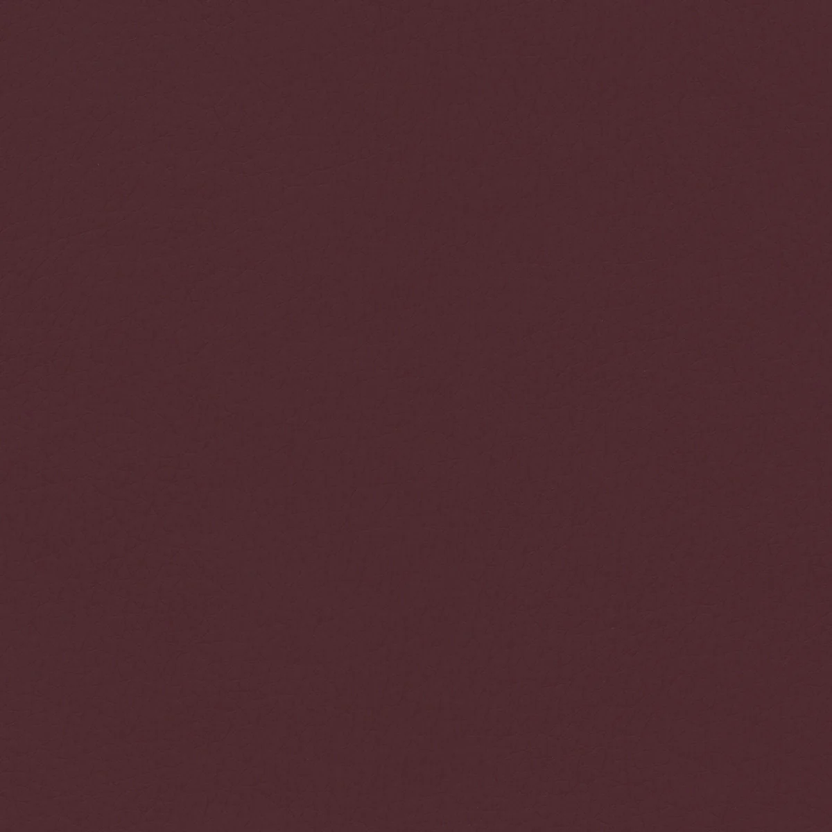 Concept Pro - Image 49