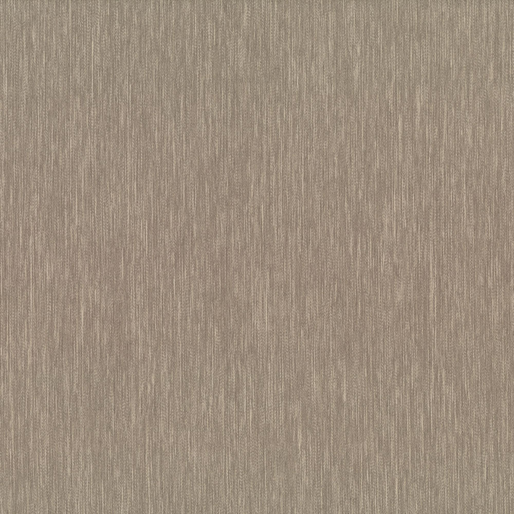 Dreamer - Image 5