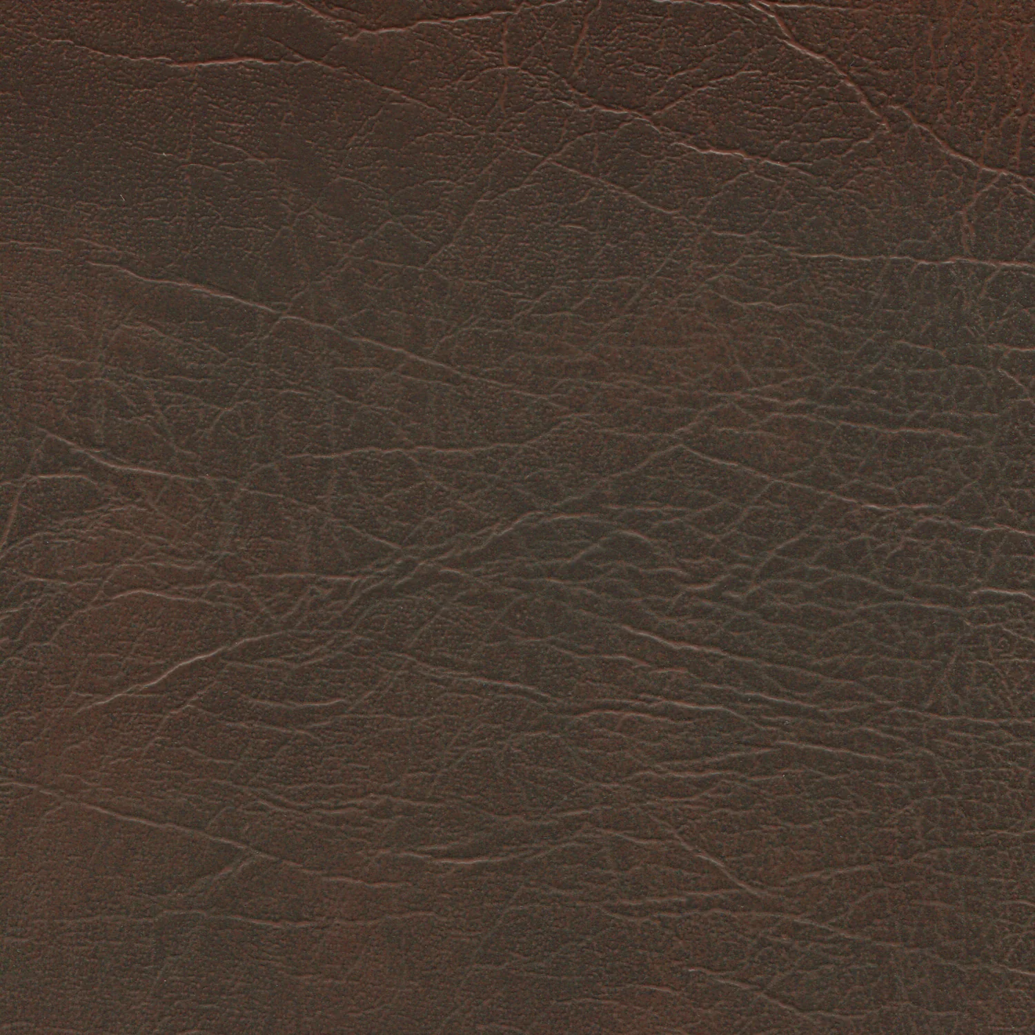 Enduratex Oxen - Image 12