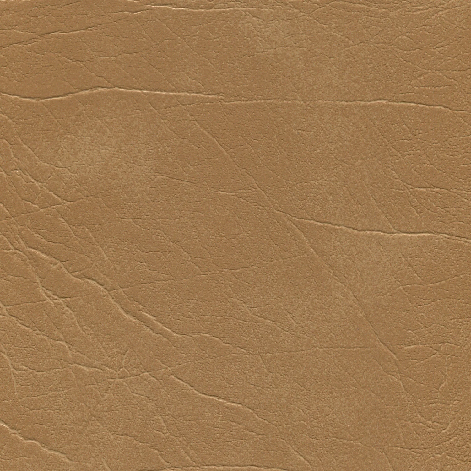 Enduratex Oxen - Image 2