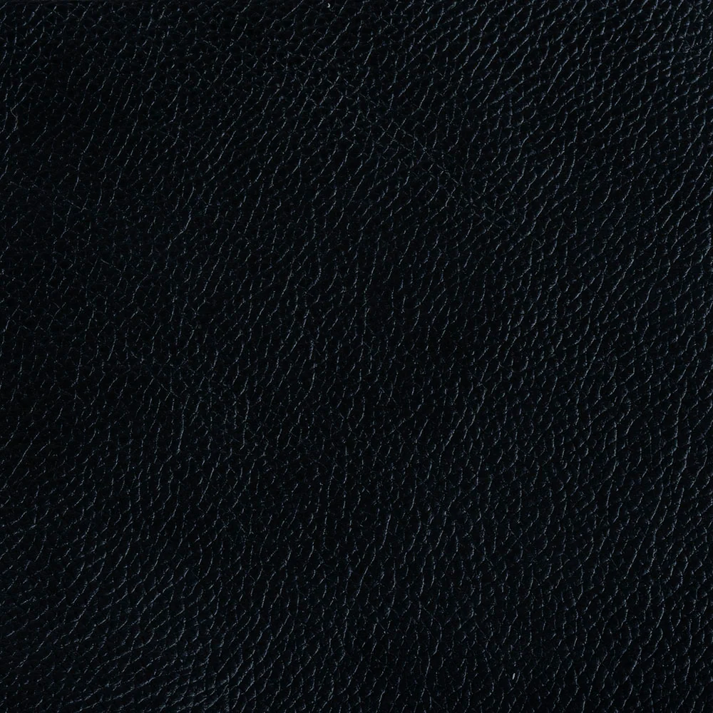 Fame - Image 11
