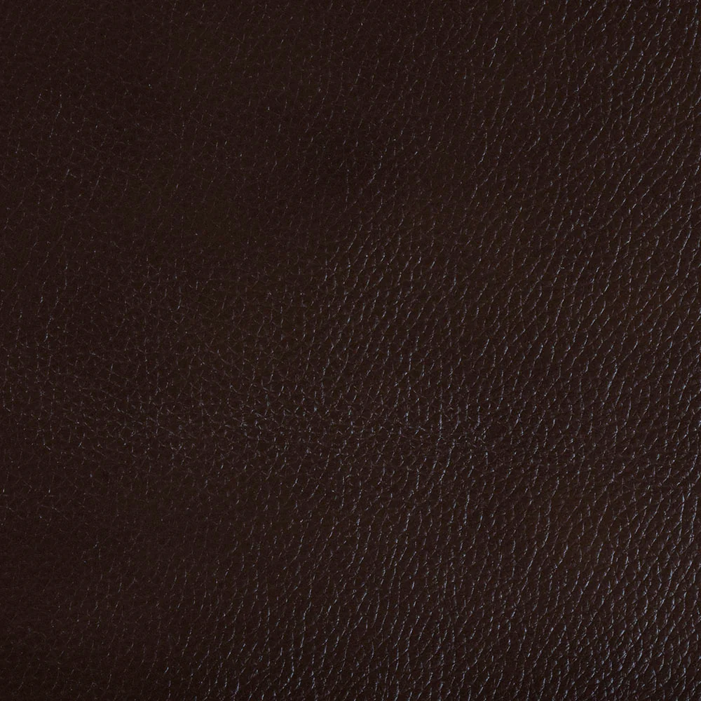 Fame - Image 13