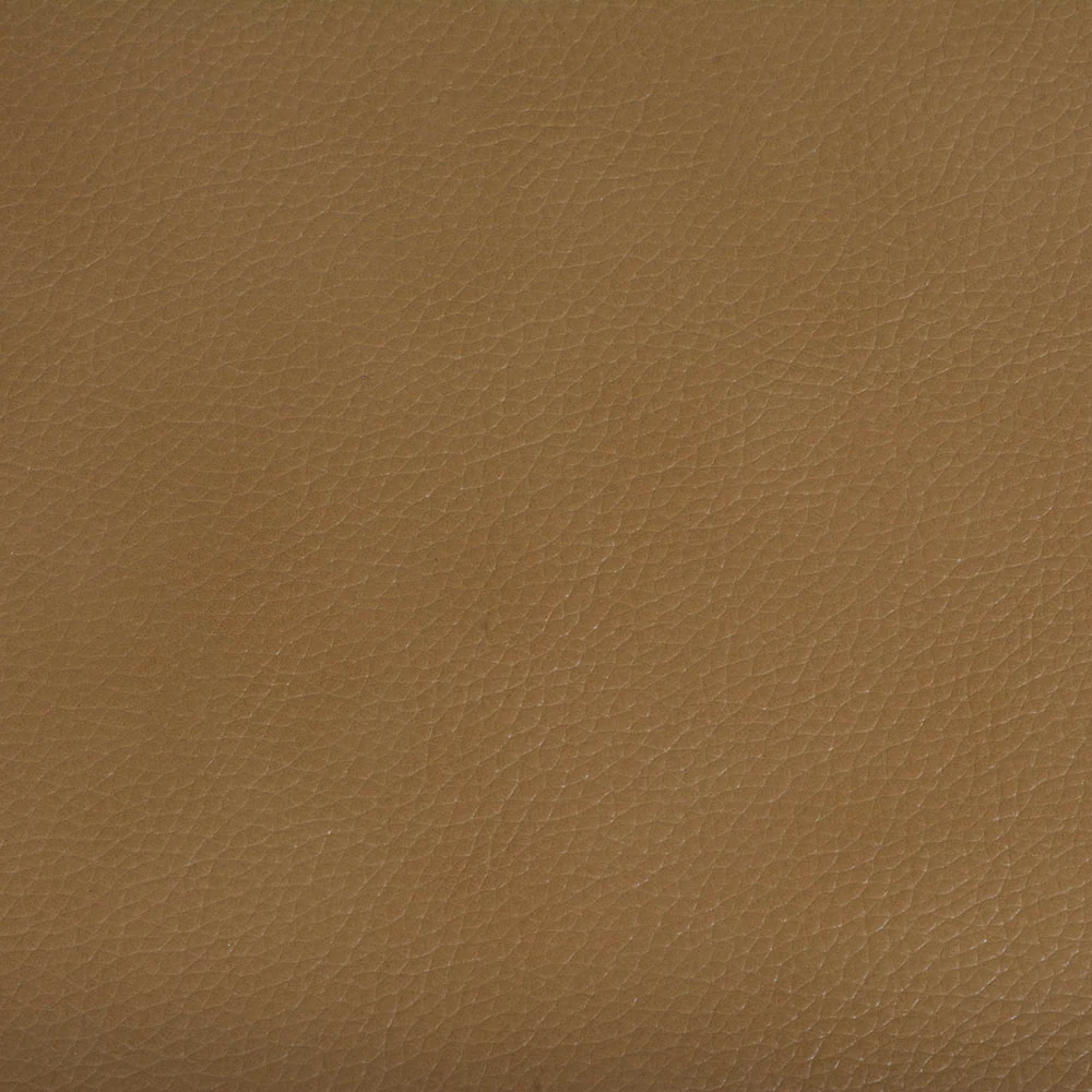 Fame - Image 3