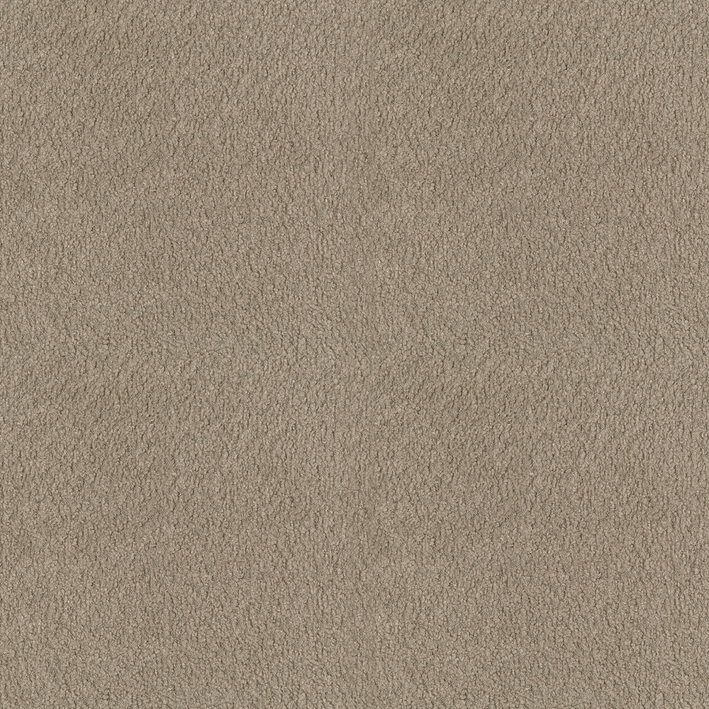 Felicity - Image 19