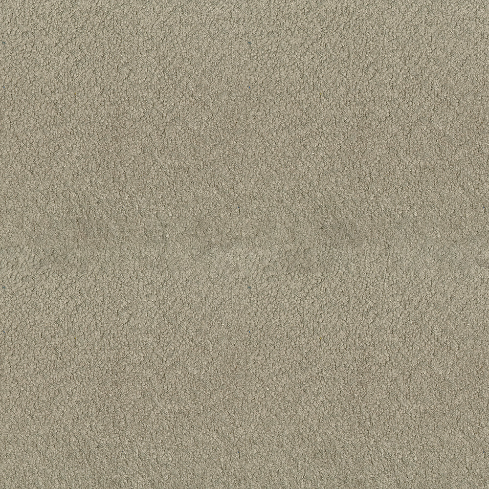 Felicity - Image 21