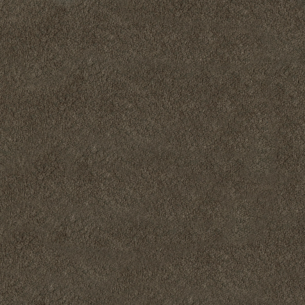 Felicity - Image 9