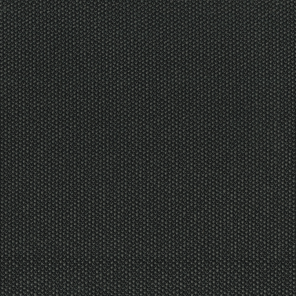 Filbert - Image 11