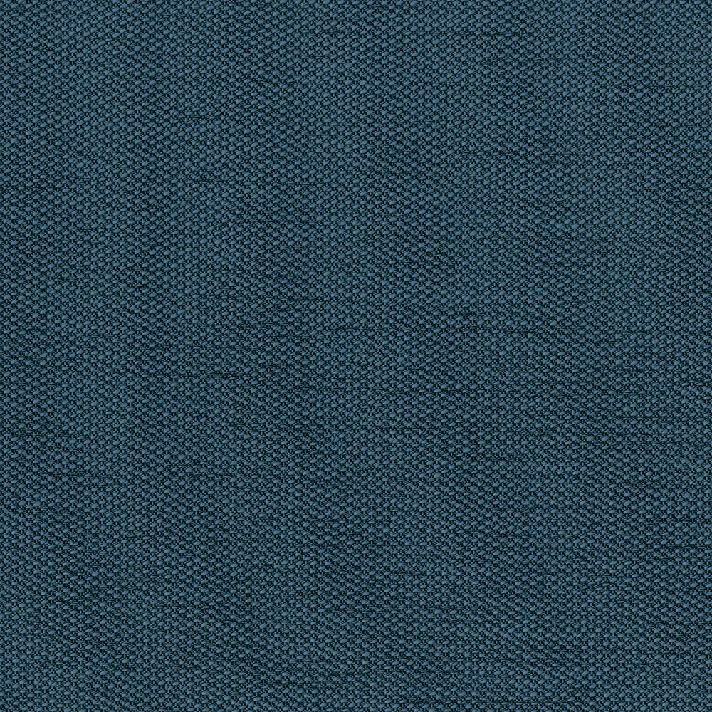 Filbert - Image 3