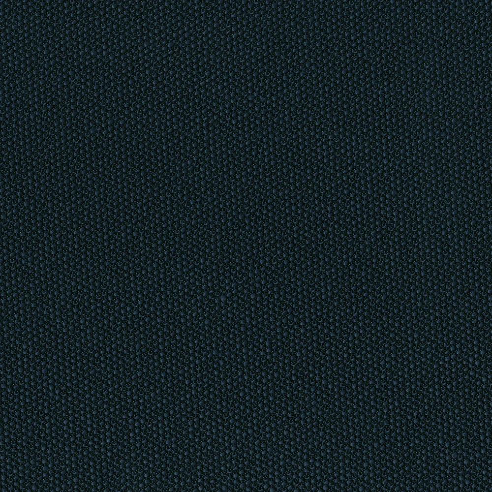 Filbert - Image 5