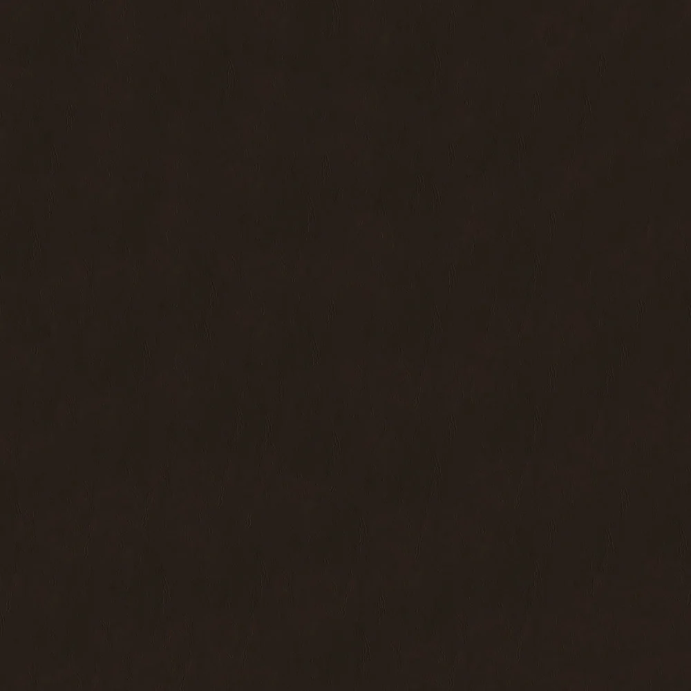 Gaucho - Image 3