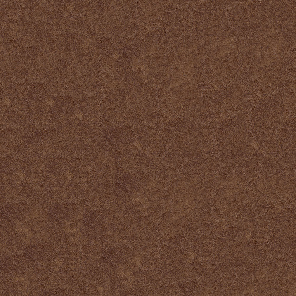 Gaucho - Image 7