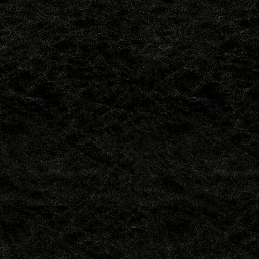 Gilded - Image 13