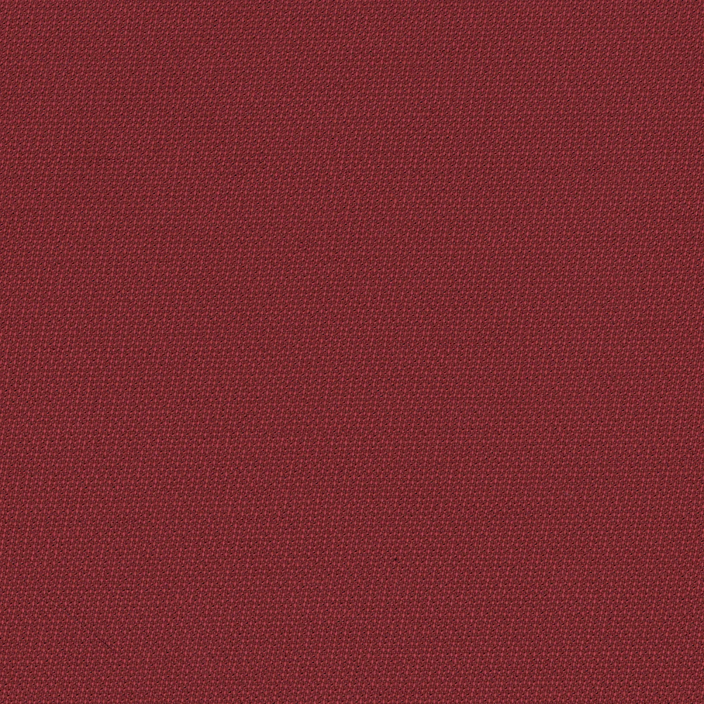 Holly - Image 7