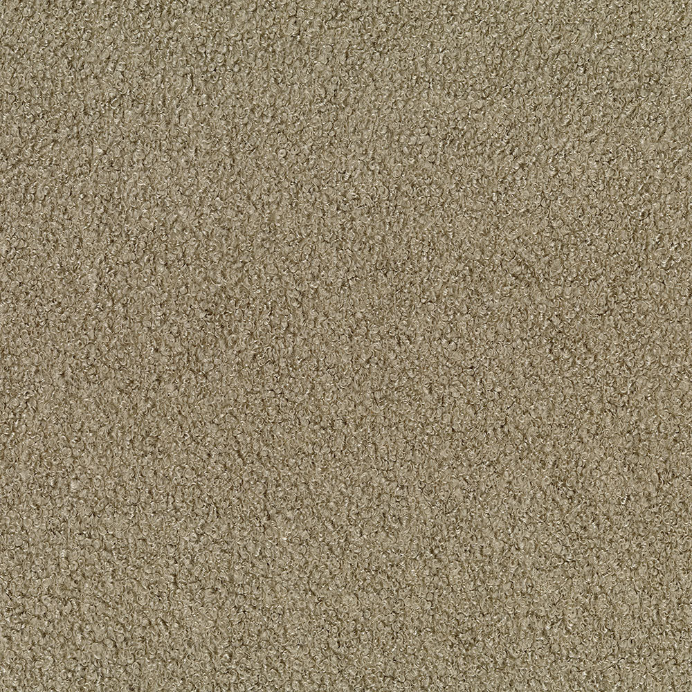 JABBA - Image 11