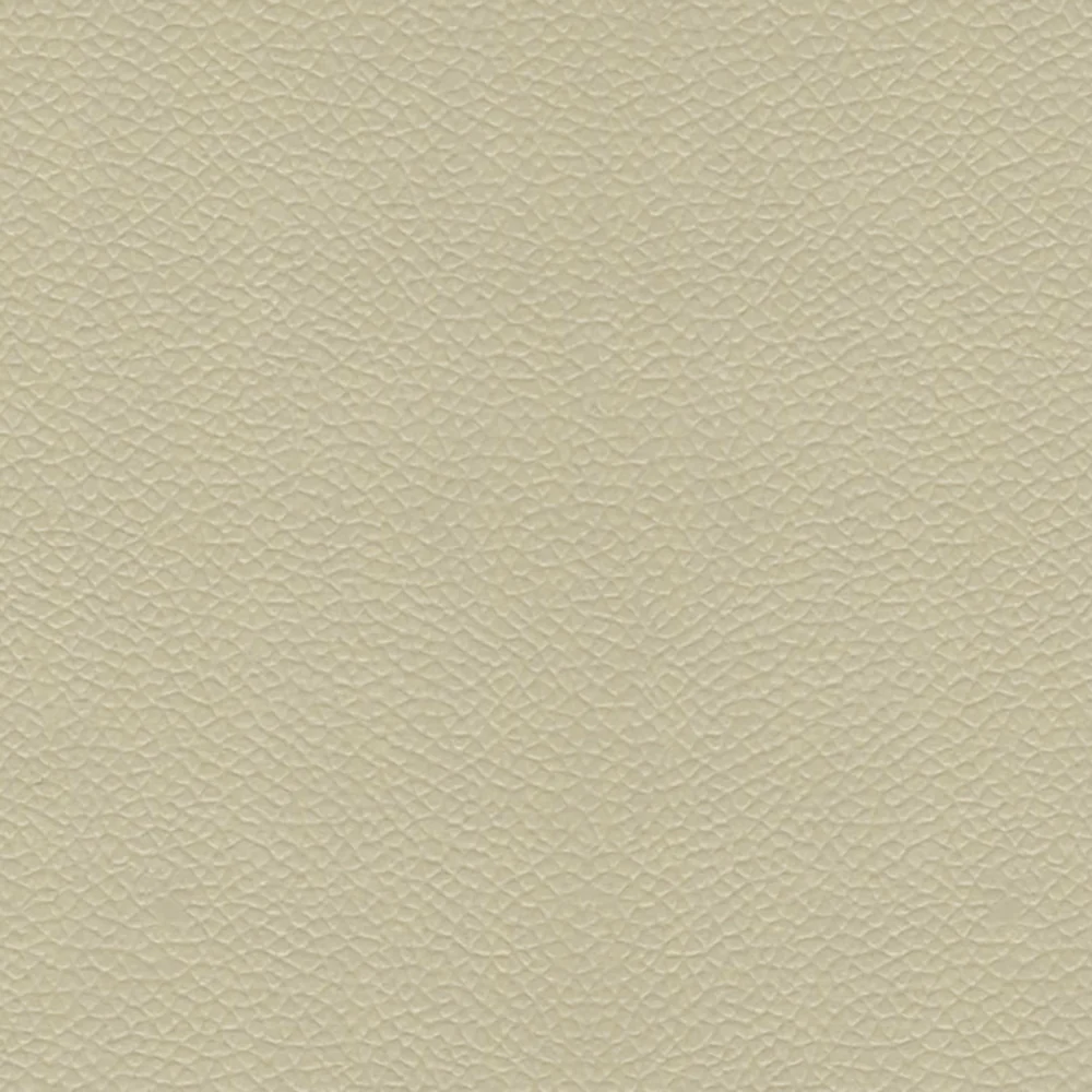 Leon Sample - Image 5