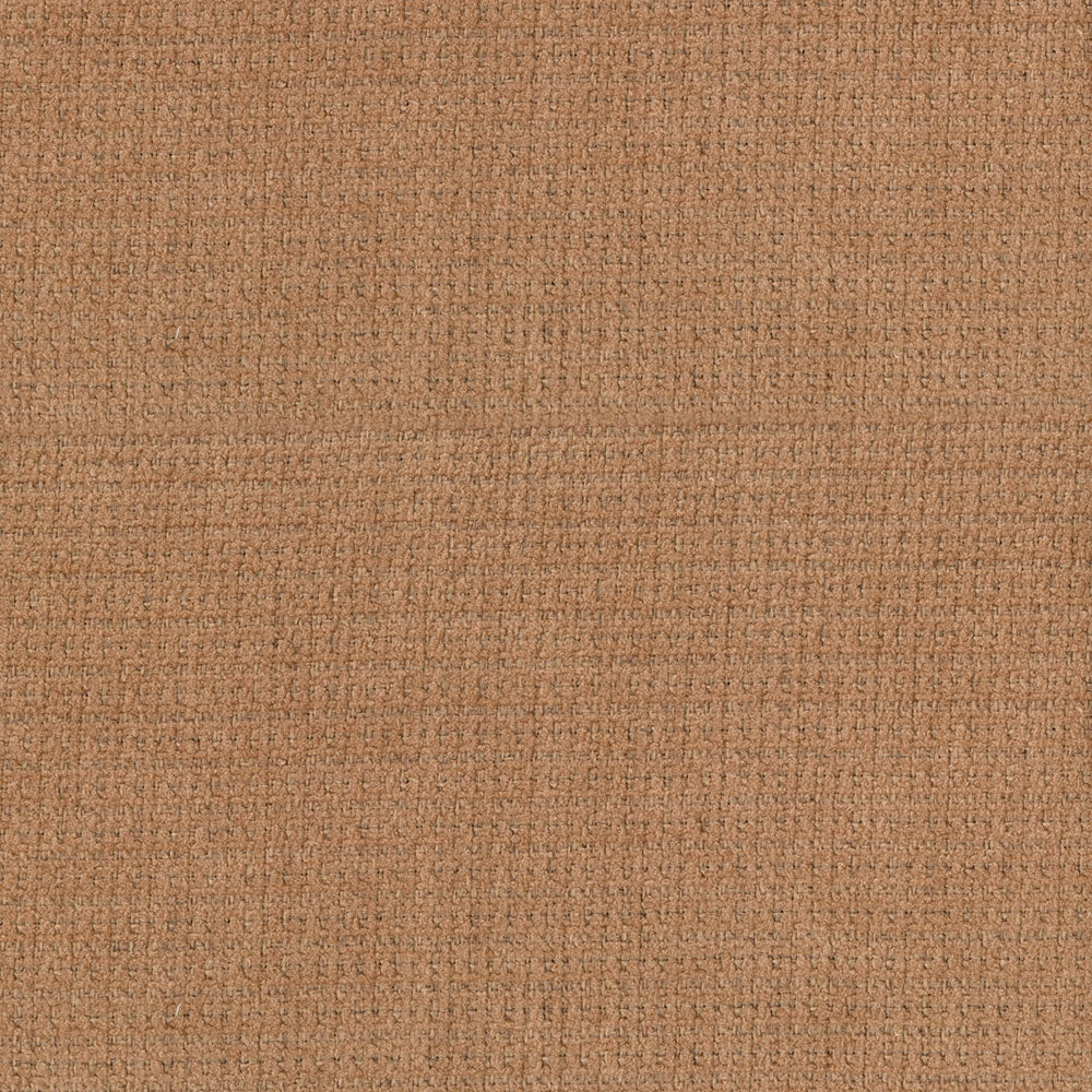 Lorenzo - Image 3
